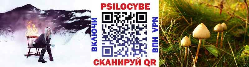 Псилоцибиновые грибы MAGIC MUSHROOMS  Купить закладки  Покровск 